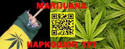 ECSTASY Камышлов