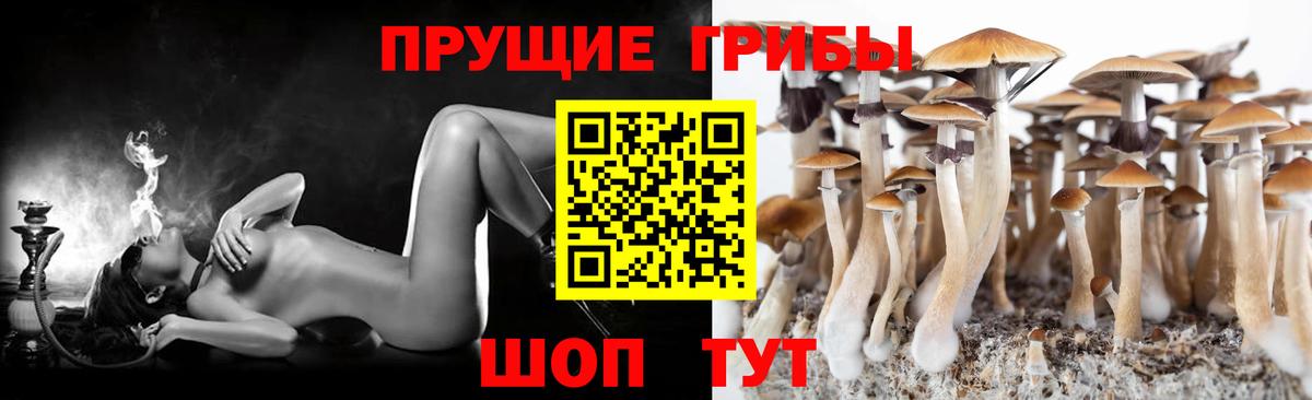 Галлюциногенные грибы MAGIC MUSHROOMS Кушва
